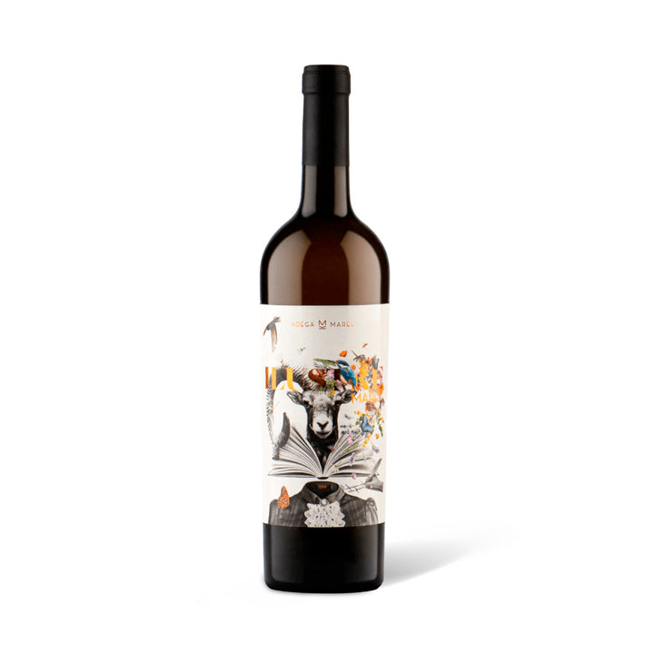 Ilustre Moreto 2023 – DOC Alentejo