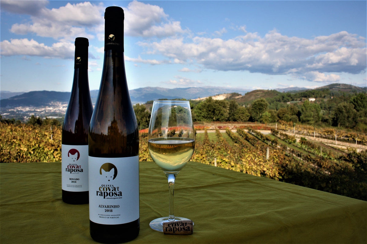 Quinta Cova da Raposa