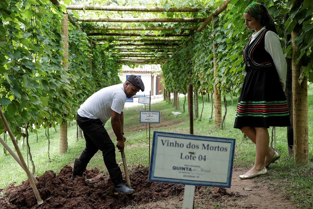 Vinho dos Mortos