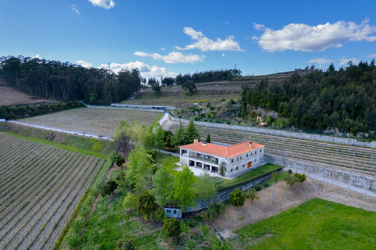 Quinta do Picouto de Cima