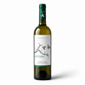 Sentido - Vinho Verde DOC - White 2024